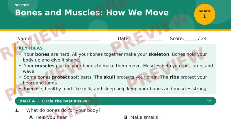 Page 1 preview of Bones and Muscles: How We Move