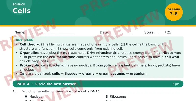 Page 1 preview of Cells