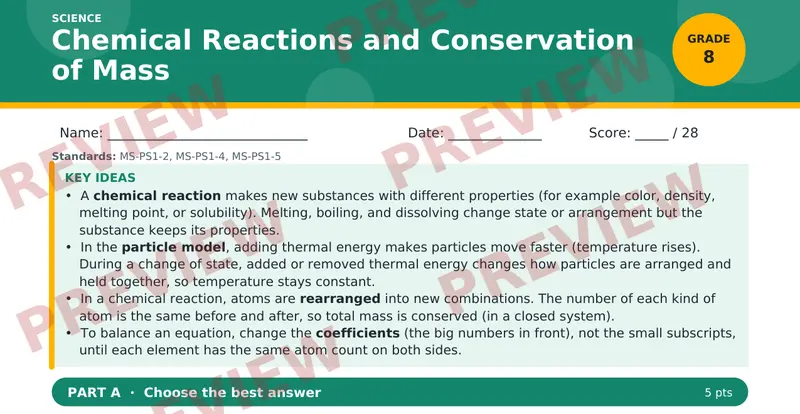 Page 1 preview of Chemical Reactions and Conservation of Mass