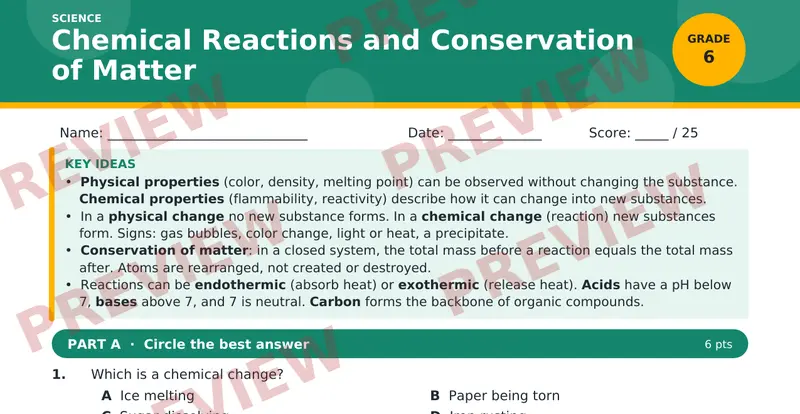 Page 1 preview of Chemical Reactions and Conservation of Matter
