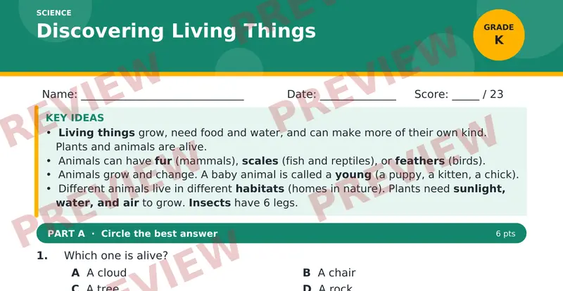 Page 1 preview of Discovering Living Things