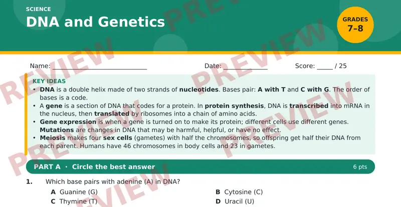 Page 1 preview of DNA and Genetics