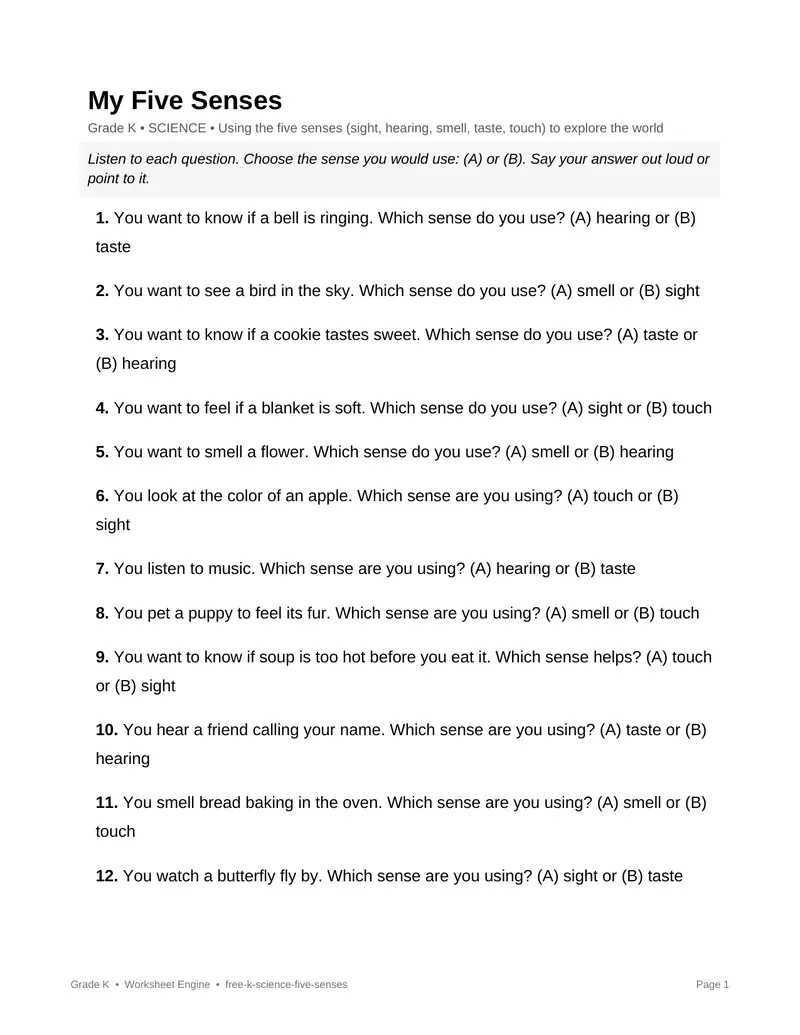 Page 1 preview of My Five Senses
