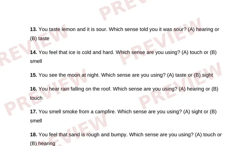 Page 2 partial preview of My Five Senses