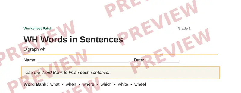 Partial preview of WH Words in Sentences