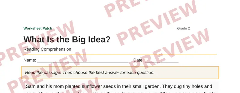 Partial preview of What Is the Big Idea?