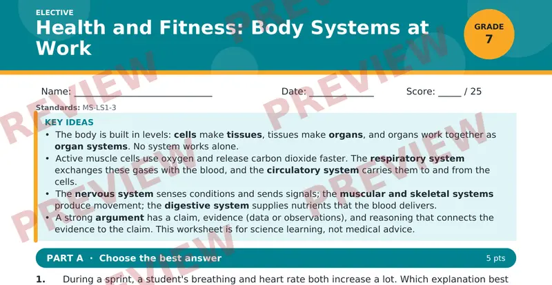 Page 1 preview of Health and Fitness: Body Systems at Work