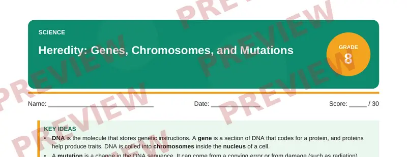 Partial preview of Heredity: Genes, Chromosomes, and Mutations (Grade 8)