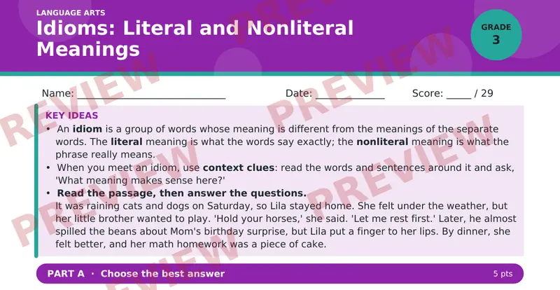 Page 1 preview of Idioms: Literal and Nonliteral Meanings
