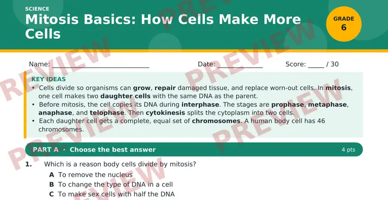 Page 1 preview of Mitosis Basics: How Cells Make More Cells