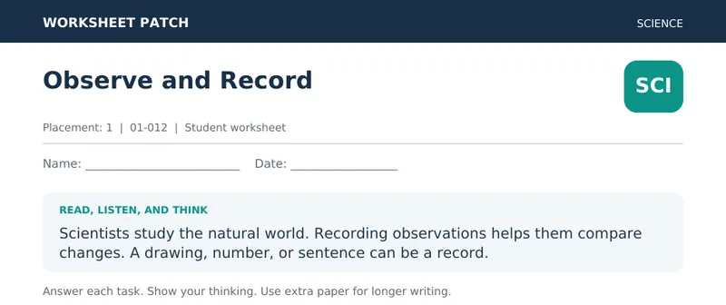 Page 1 preview of Observe and Record