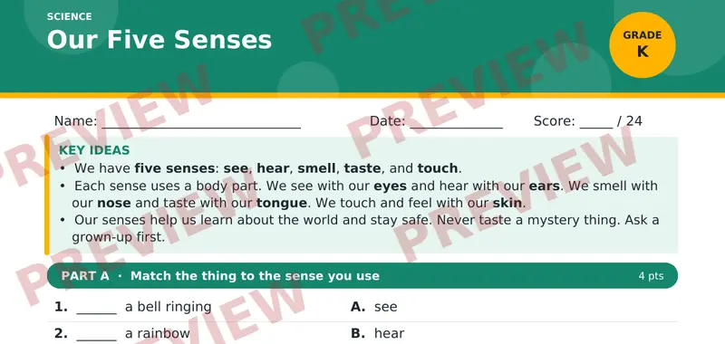 Page 1 preview of Our Five Senses