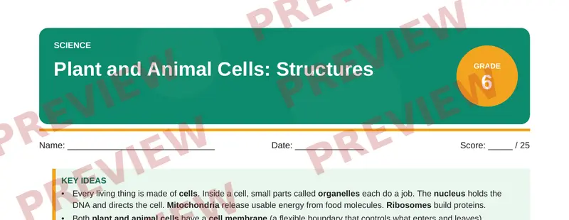 Partial preview of Plant and Animal Cells: Structures (Grade 6)