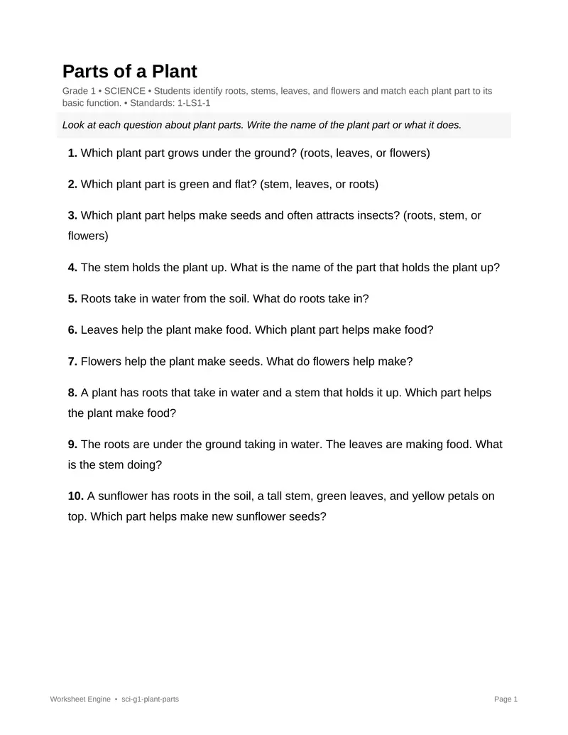 Page 1 preview of Parts of a Plant