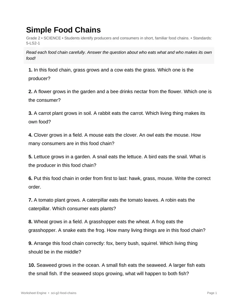 Page 1 preview of Simple Food Chains