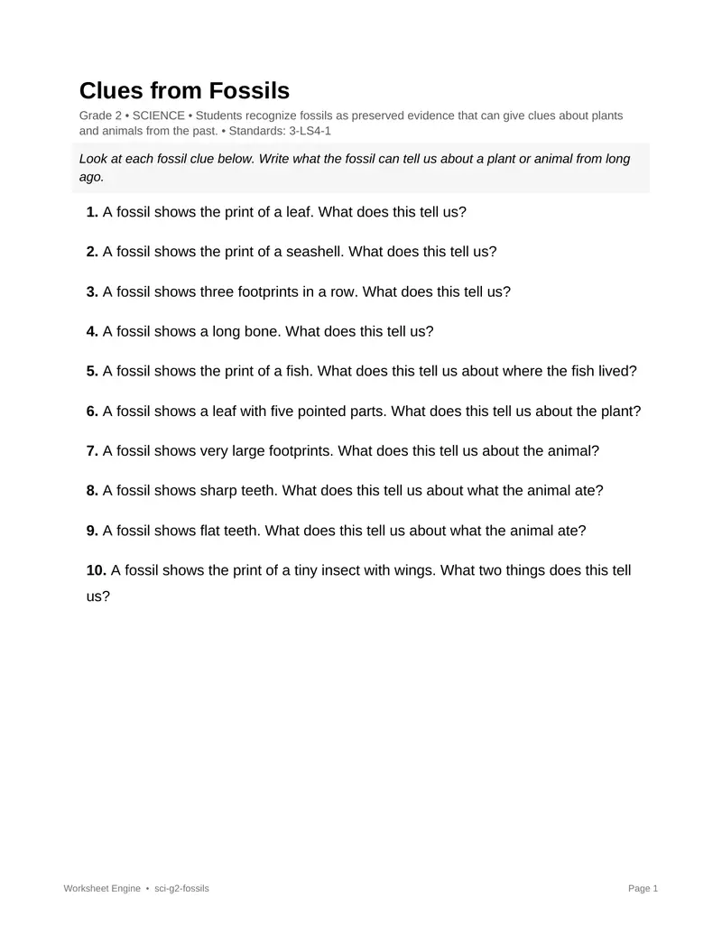 Page 1 preview of Clues from Fossils