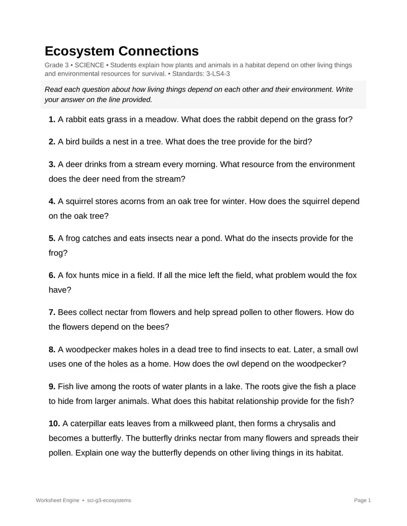 Page 1 preview of Ecosystem Connections