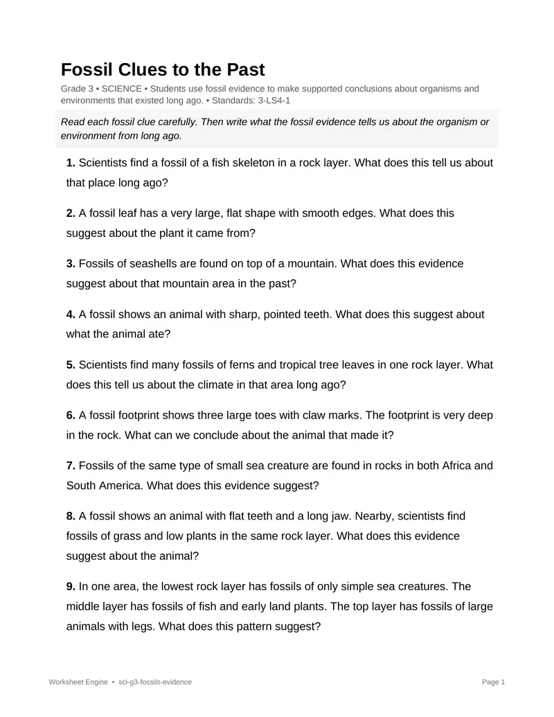 Page 1 preview of Fossil Clues to the Past