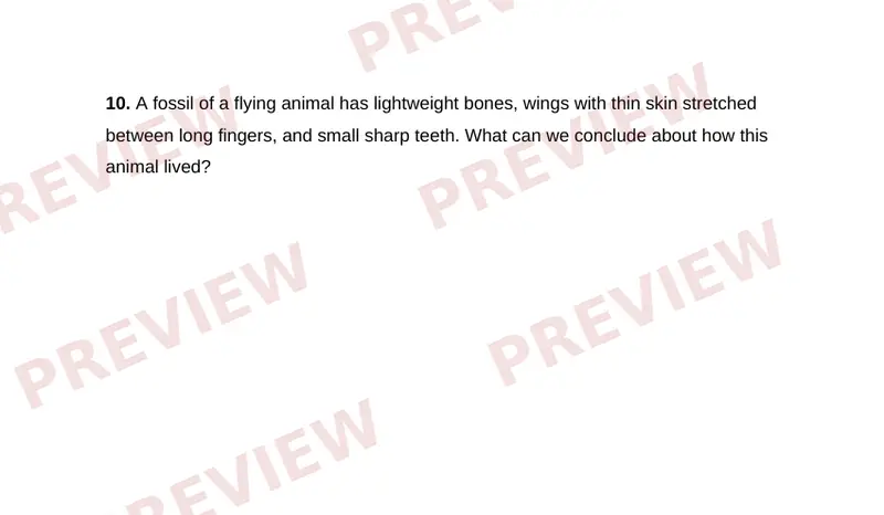 Page 2 partial preview of Fossil Clues to the Past