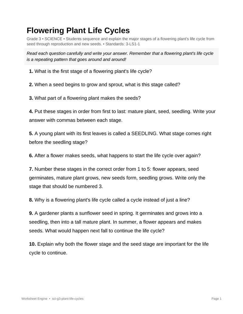 Page 1 preview of Flowering Plant Life Cycles