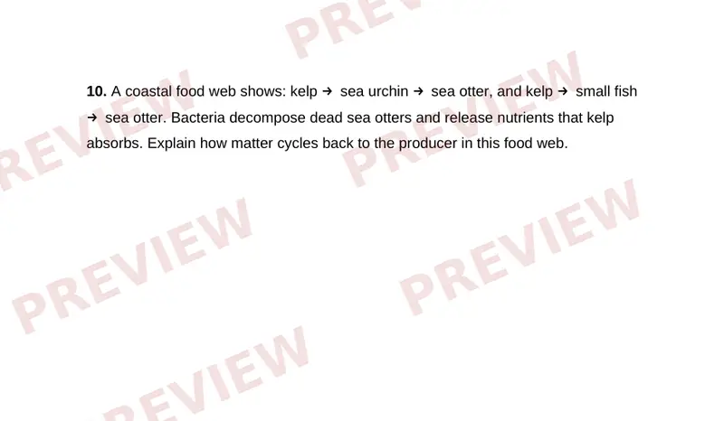 Page 2 partial preview of Food Webs and Energy Flow