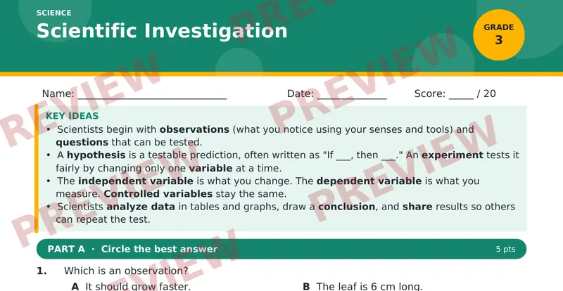 Page 1 preview of Scientific Investigation
