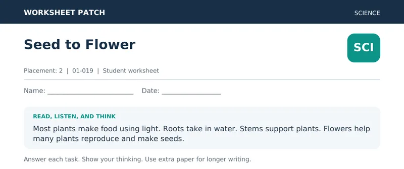 Page 1 preview of Seed to Flower