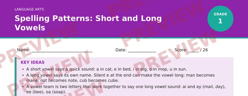 Partial preview of Spelling Patterns: Short and Long Vowels (Grade 1)