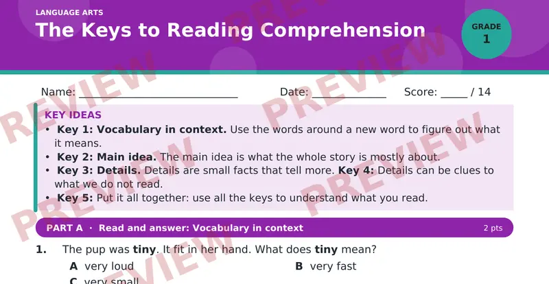 Page 1 preview of The Keys to Reading Comprehension