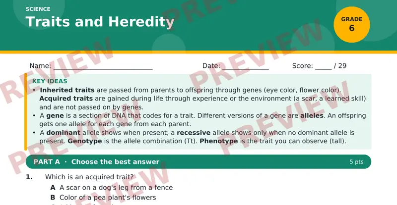 Page 1 preview of Traits and Heredity