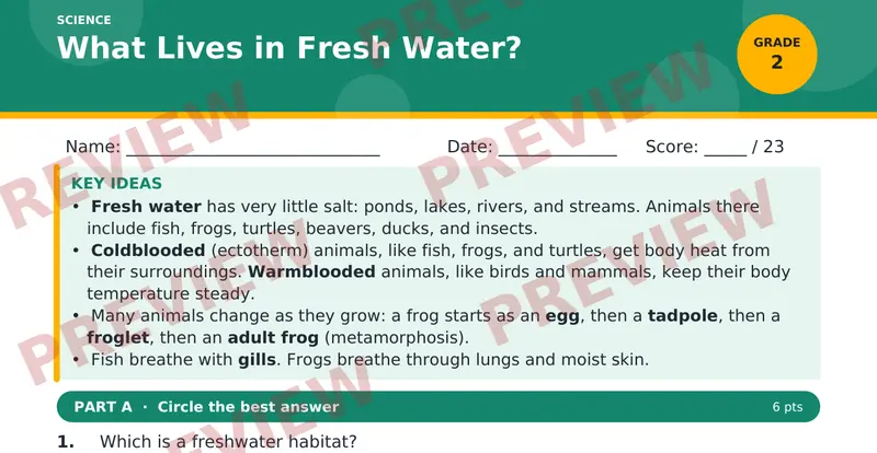 Page 1 preview of What Lives in Fresh Water?