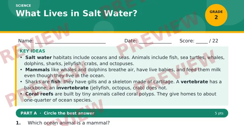 Page 1 preview of What Lives in Salt Water?