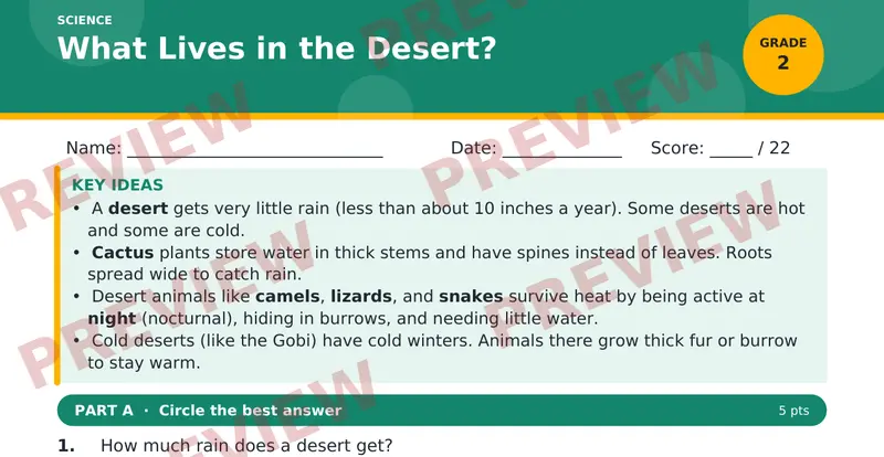 Page 1 preview of What Lives in the Desert?