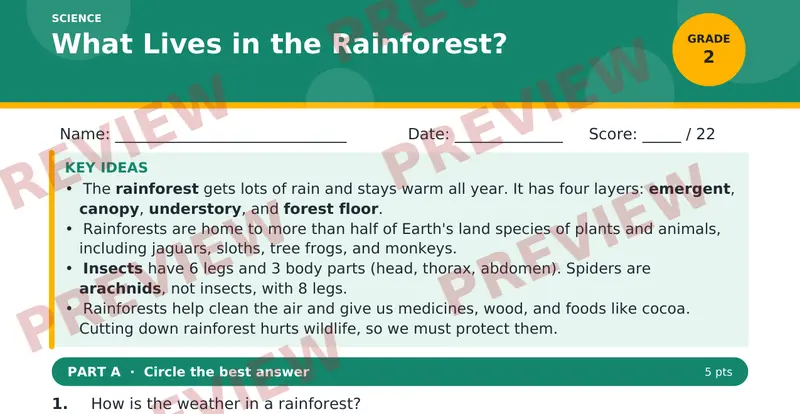 Page 1 preview of What Lives in the Rainforest?
